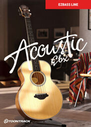 EBX Acoustic Bass