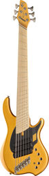 NG3 Nolly Sig.6 Gold Matte Matte Gold Metallic