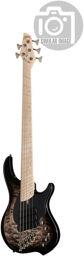 CB3 Combustion 5 BK Burst MN Black Burst