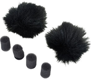 Wind Screen Mini Black noir