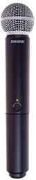 BLX2/SM58 T11
