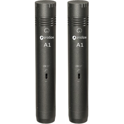 A1 Duo