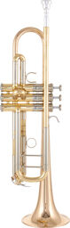 YTR-8345G 04 Trumpet