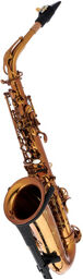 Performance Line Alto Sax
