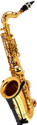 Little Bee Kids Saxophone