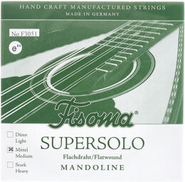 F3051M Mandolin E-Str. 1 Pair