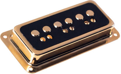 Dynasonic Gold Black Neck
