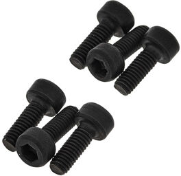 Saddle Mounting Screws Black