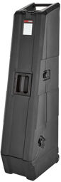 Mini Vault for 2 Bass Guitars