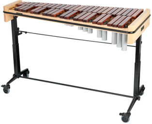2495 Xylophone Concert Hêtre commun