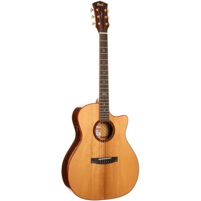 Gold A10 Cocobolo Naturel Brillant