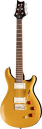 SE DGT Gold Top Gold Top