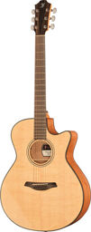 Blue plus GC-SW SPE a