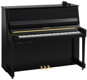 B30 SC3 PE Polished black