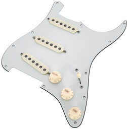 67 Q.Coil Hot Br. Pickguard PA Parchment 3