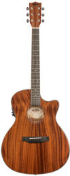 Solid Mahogany Thinline Steel