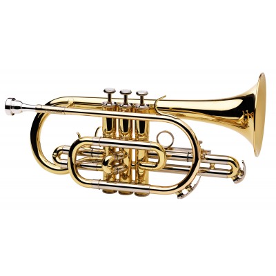 Prodige 120 Sib Verni - BE120-1-0