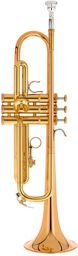 YTR-8335RC