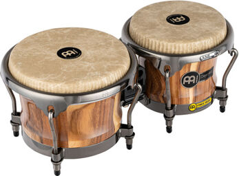 Artist Diego Gale Bongos