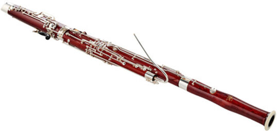 Bassoon Student