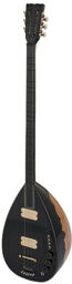 160C-FP Electro Acoustic Saz