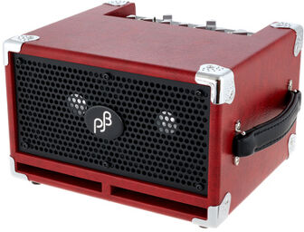 BG-120 Bass Combo