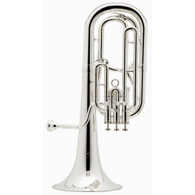 Prodige Sib Argenté - BE157-2-0