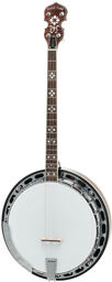 TS-250 Tenor Banjo w/Case Vintage Braun