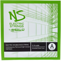 NSFW613 Electric Bass Str. A