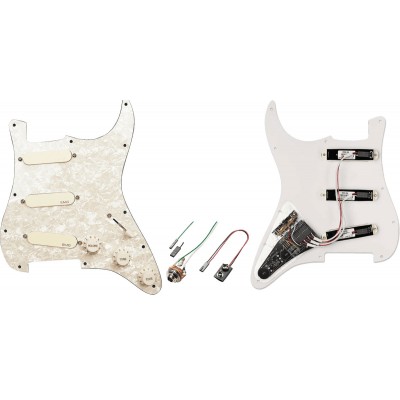 DG20 Gilmour Pro Series Strat* Pickguard Collection