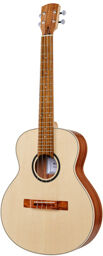Tenor Guitar Standard