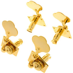 142G4 Vintage Bass Gold 4L Gold