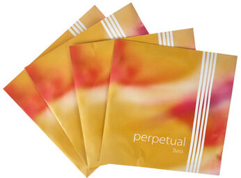 Perpetual Bass 3/4