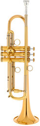 Malte Burba Premium Goldbrass