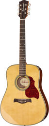 D-65-VA Master Series Naturel haute brillance