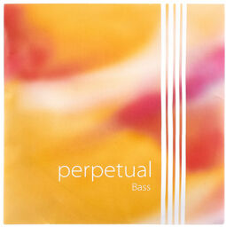 Perpetual Double Bass Solo E2