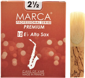 Premium Alto Saxophone 2.5