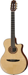 NTX5NT NAT B-Stock