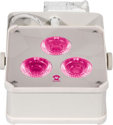 Track Maxi V2 15° RGBWW Creme Crème