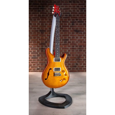 DGT Semi-Hollow LTD