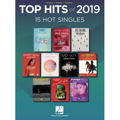 Top Hits Of 2019 - PVG