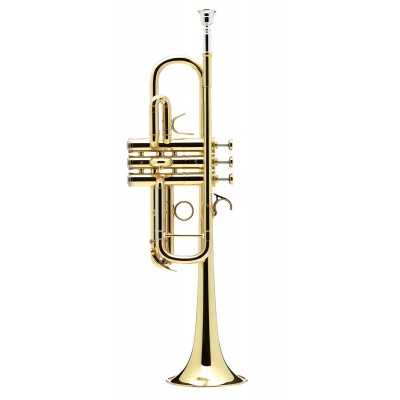 Confluence Sib Vernie - AC335CM-1-0