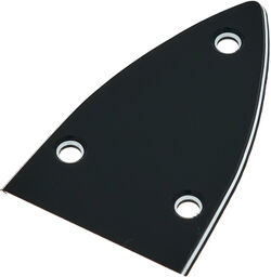 H65/37 Truss Rod Cover