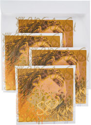 Evah Pirazzi Slap Strings Set