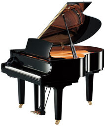 C 1 X SH3 PE Silent Grand Black Polished