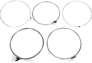 Svaraveena Strings Set