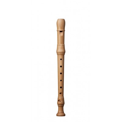 Studio Soprano Cerisier 1303