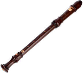 4301 Rottenburgh Alto