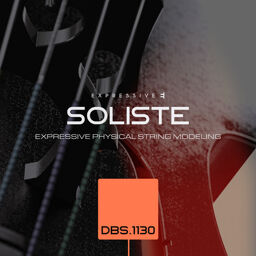 Soliste DBS 1130 Double Bass