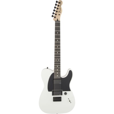 Telecaster Signature Jim Root Ebo Flat White